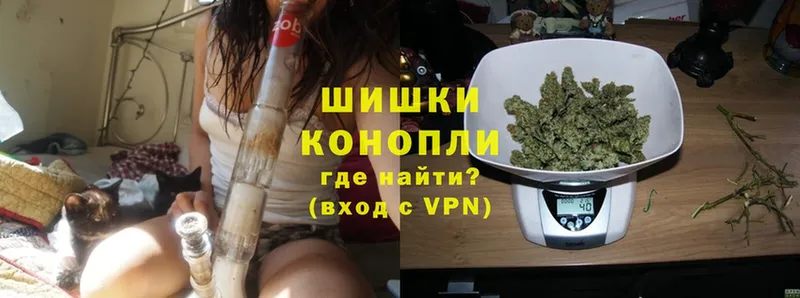 закладки  гидра ССЫЛКА  Шишки марихуана White Widow  Болгар 